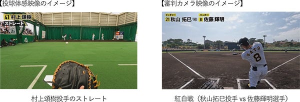 2024年版「投球体感映像」「審判カメラ映像」3月16日から公開!村上頌樹投手の投球を捕手目線で体感、春季キャンプの紅白戦も審判目線で! 2024年版「投球体感映像」「審判カメラ映像」3月16日から公開!村上頌樹投手の投球を捕手目線で体感、春季キャンプの紅白戦も審判目線で!