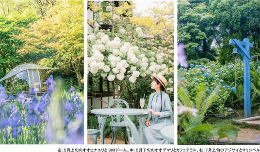 ROKKO森の音ミュージアム フェア「ハーモニー・オブ・ガーデン」 六甲山のナチュラルガーデンのフラワーシーズン到来 2026年3月14日(土)~8月21日(金) ROKKO森の音ミュージアム フェア「ハーモニー・オブ・ガーデン」 六甲山のナチュラルガーデンのフラワーシーズン到来 2026年3月14日(土)~8月21日(金)