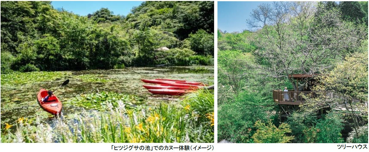 ROKKO山涼みフェス2026