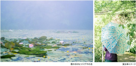 ROKKO森の音ミュージアム 雨の日こそ霧が幻想的な博物館へ レイニーシーズン SNSキャンペーン 2026年6月1日(月)~7月17日(金) ROKKO森の音ミュージアム 雨の日こそ霧が幻想的な博物館へ レイニーシーズン SNSキャンペーン 2026年6月1日(月)~7月17日(金)