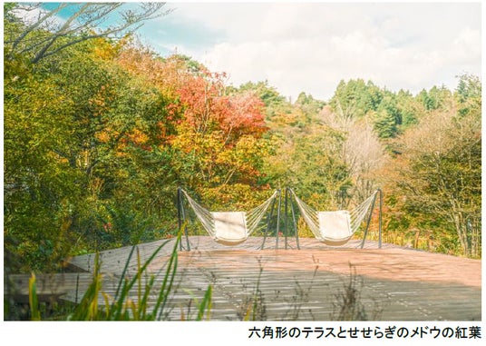 ROKKO森の音ミュージアム SIKIガーデンAutumn Season 紅葉の見頃は10月下旬~11月下旬 2026年8月29日(土)~11月30日(月) ROKKO森の音ミュージアム SIKIガーデンAutumn Season 紅葉の見頃は10月下旬~11月下旬 2026年8月29日(土)~11月30日(月)