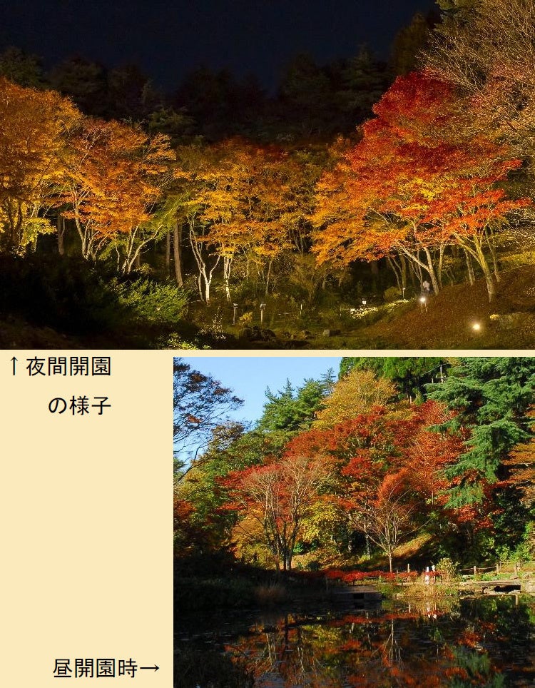 ミラーレス一眼カメラの必須アイテム!業界最高クラスの超低反射・高透明さを誇る液晶保護フィルムにCanon「EOS R8 MarkII」用を新発売!
