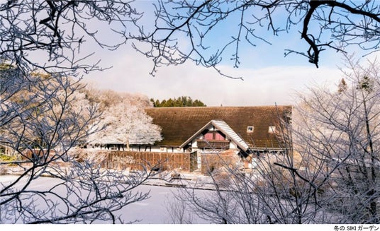 ROKKO森の音ミュージアム SIKIガーデンWinter Season 冬に色変わりする木々と森の静寂を堪能する季節の到来 2026年12月1日(火)~2027年2月28日(日) ROKKO森の音ミュージアム SIKIガーデンWinter Season 冬に色変わりする木々と森の静寂を堪能する季節の到来 2026年12月1日(火)~2027年2月28日(日)