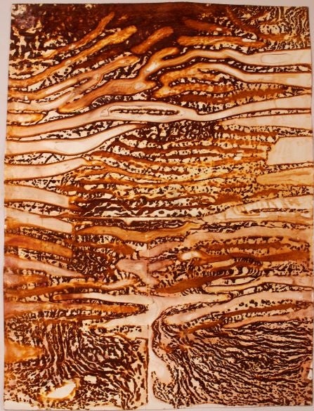 「赤い動物」 水彩用紙 鉄錆 ベンガラ( 赤系、黒系、黄系 ) 880×1120 MM 2022