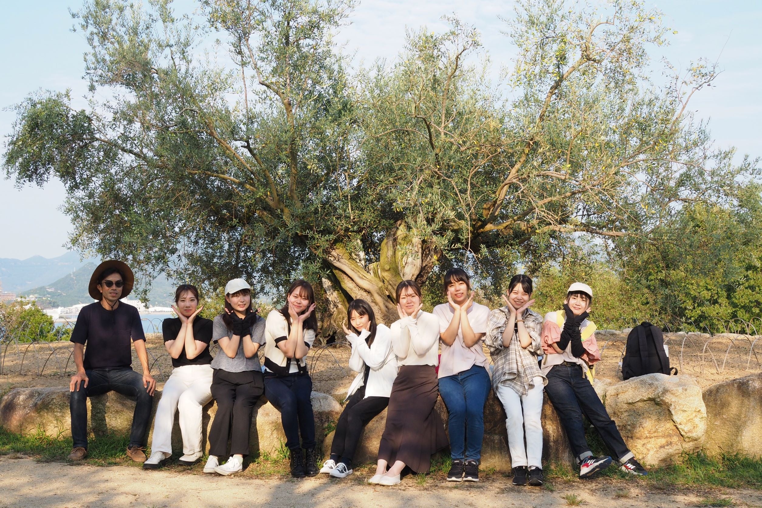 樹齢千年のオリーヴ大樹