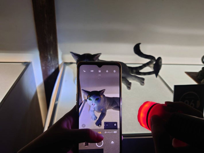 全館・全作品撮影自由です