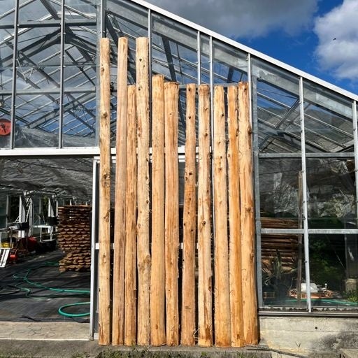 オリーブ栽培用のビニールハウスを活用して材木を乾燥