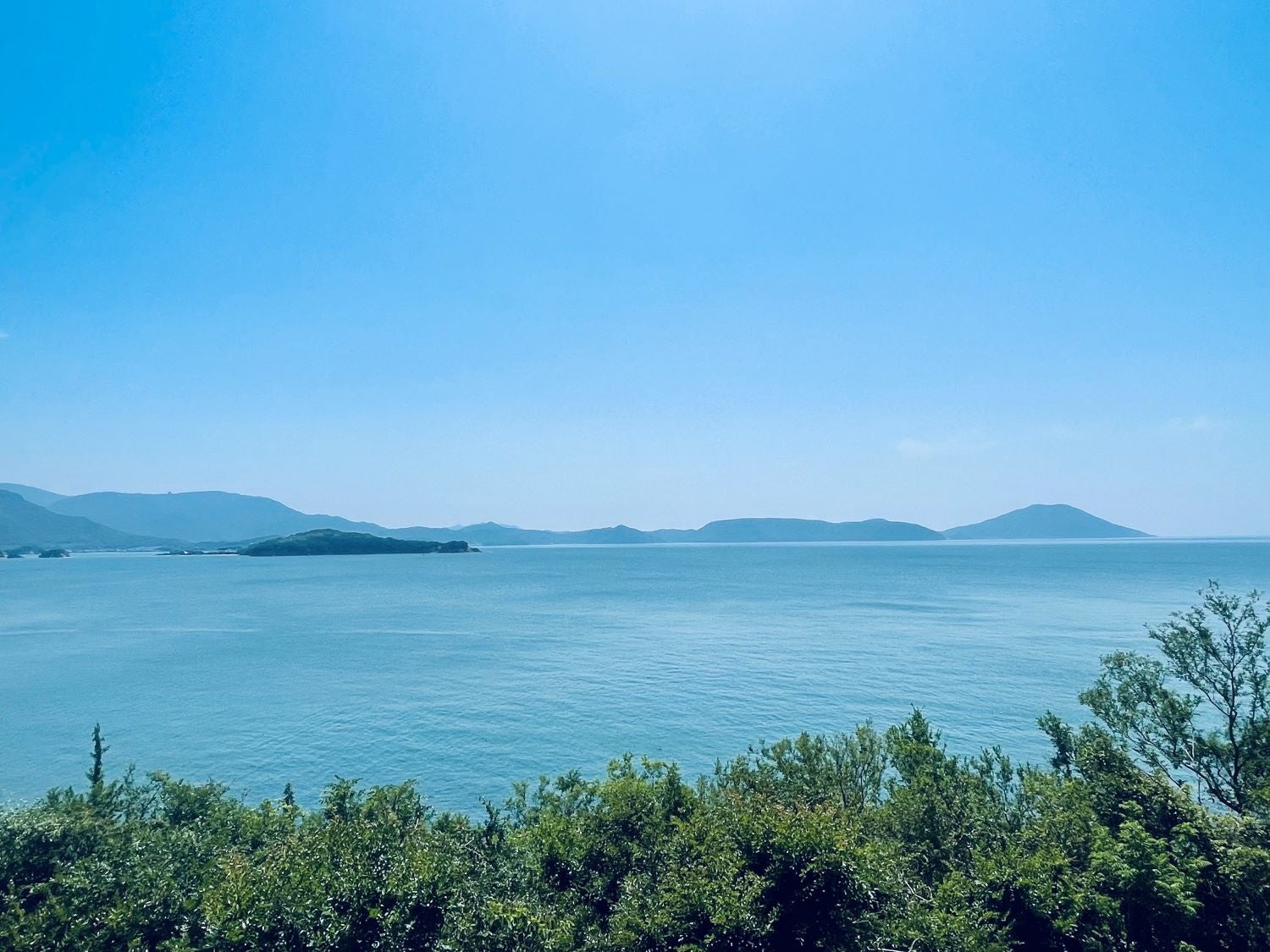 千年オリーブテラス「The STAY」からの景色