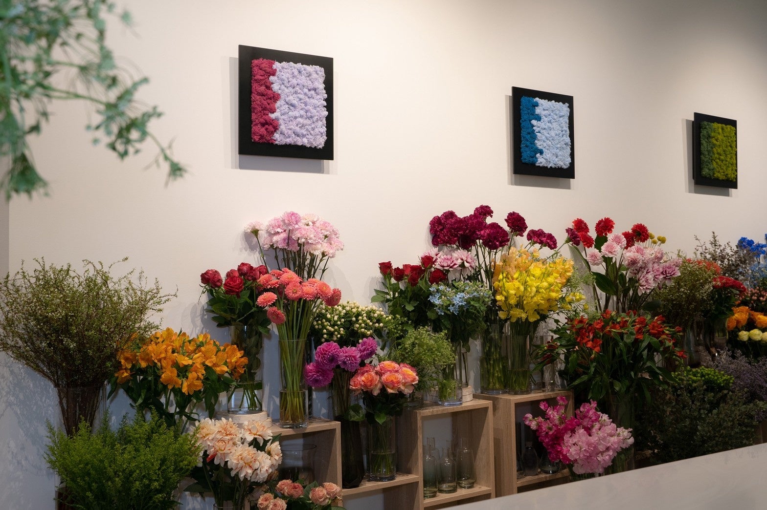 店内には色とりどりの花が約2000本飾られている