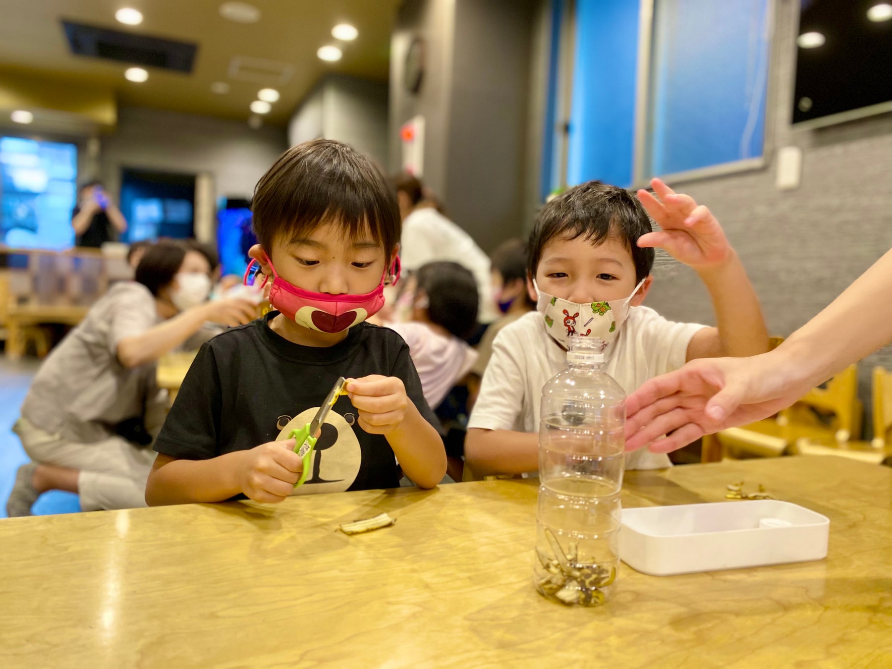 進化系 保育園園児向け食育イベント バナナで考えるsdgs夏の体験学習 社会福祉法人 東京児童協会のプレスリリース 進化系 保育園園児向け食育イベント バナナで考えるsdgs夏の体験学習 社会福祉法人 東京児童協会のプレスリリース