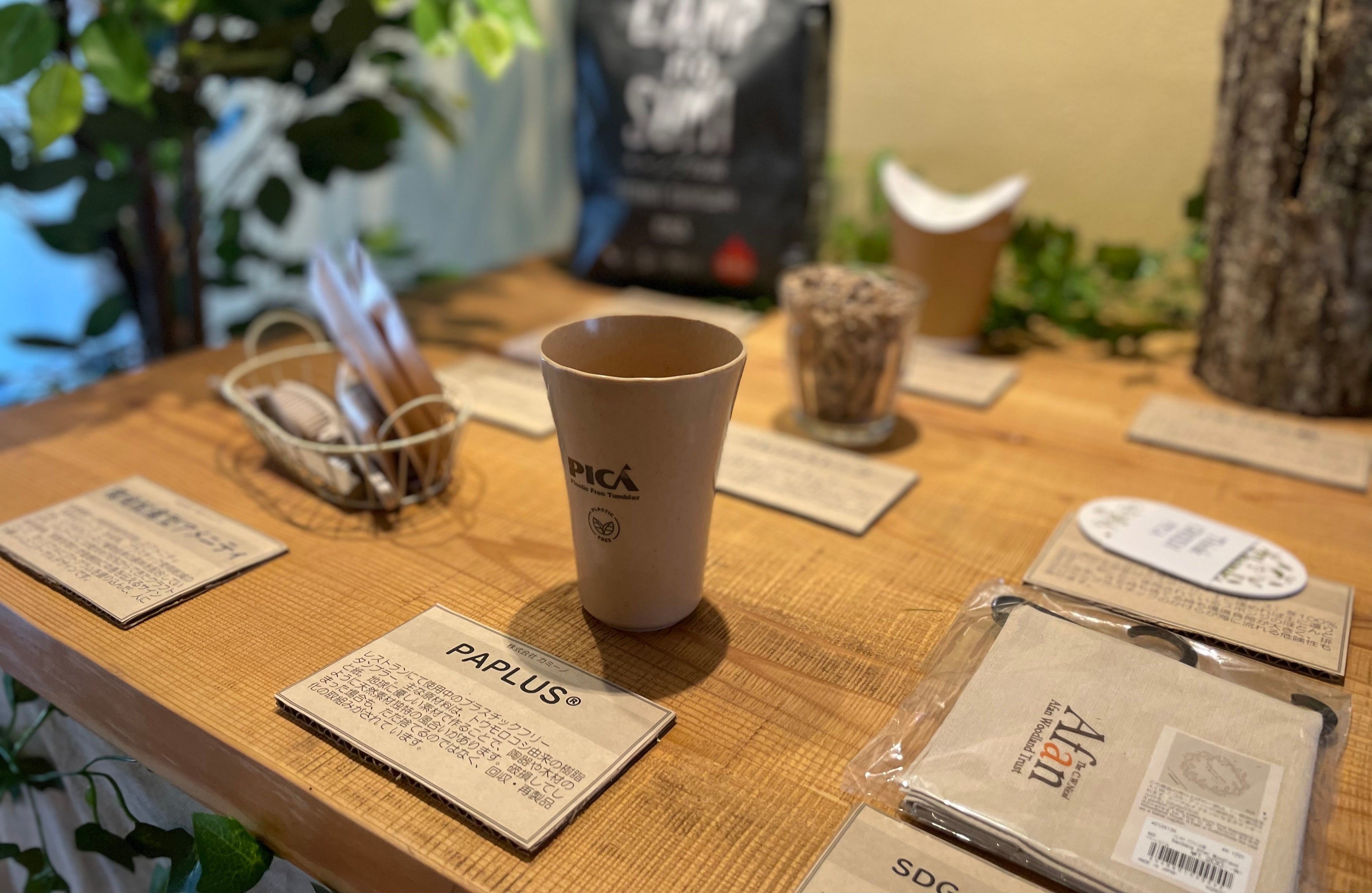 PICA山中湖で導入された環境配慮型製品の数々と一緒に並べられたPAPLUS®のカップ