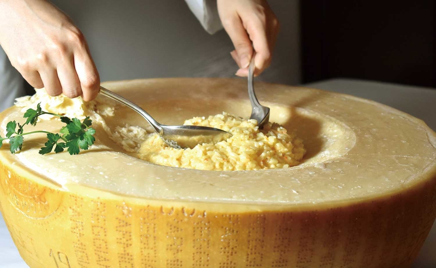 シェフズコーナー　濃厚チーズリゾット