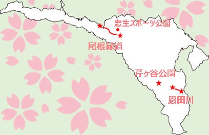 ふるさと納税 桜を植えよう まちだのさくら を未来へ を募集 町田市役所のプレスリリース ふるさと納税 桜を植えよう まちだのさくら を未来へ を募集 町田市役所のプレスリリース