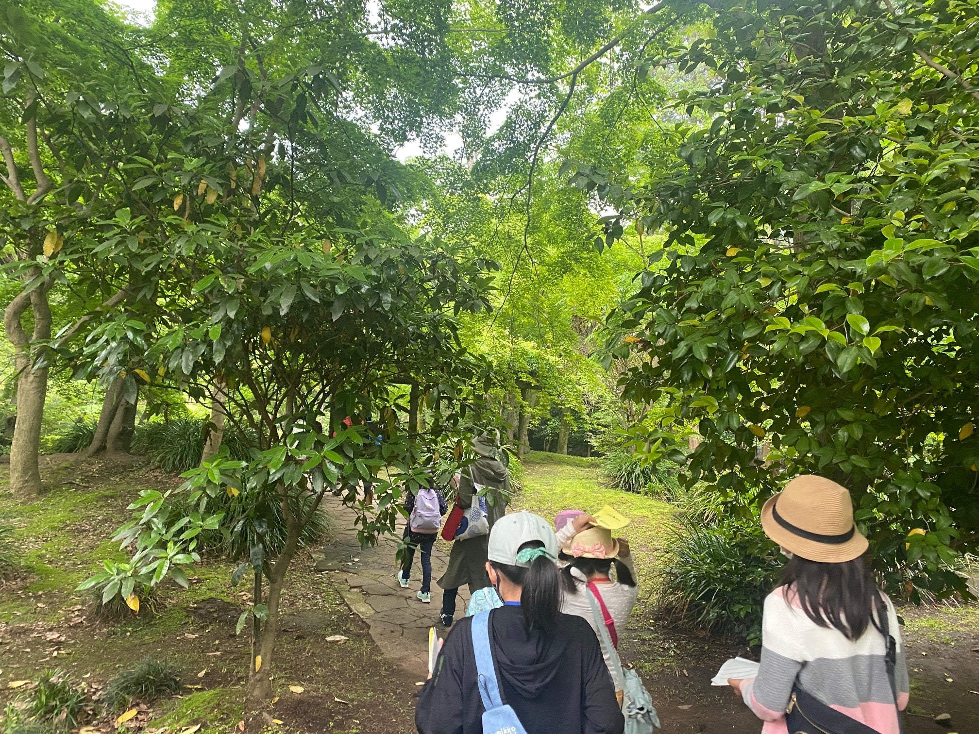 前回の吟行の様子