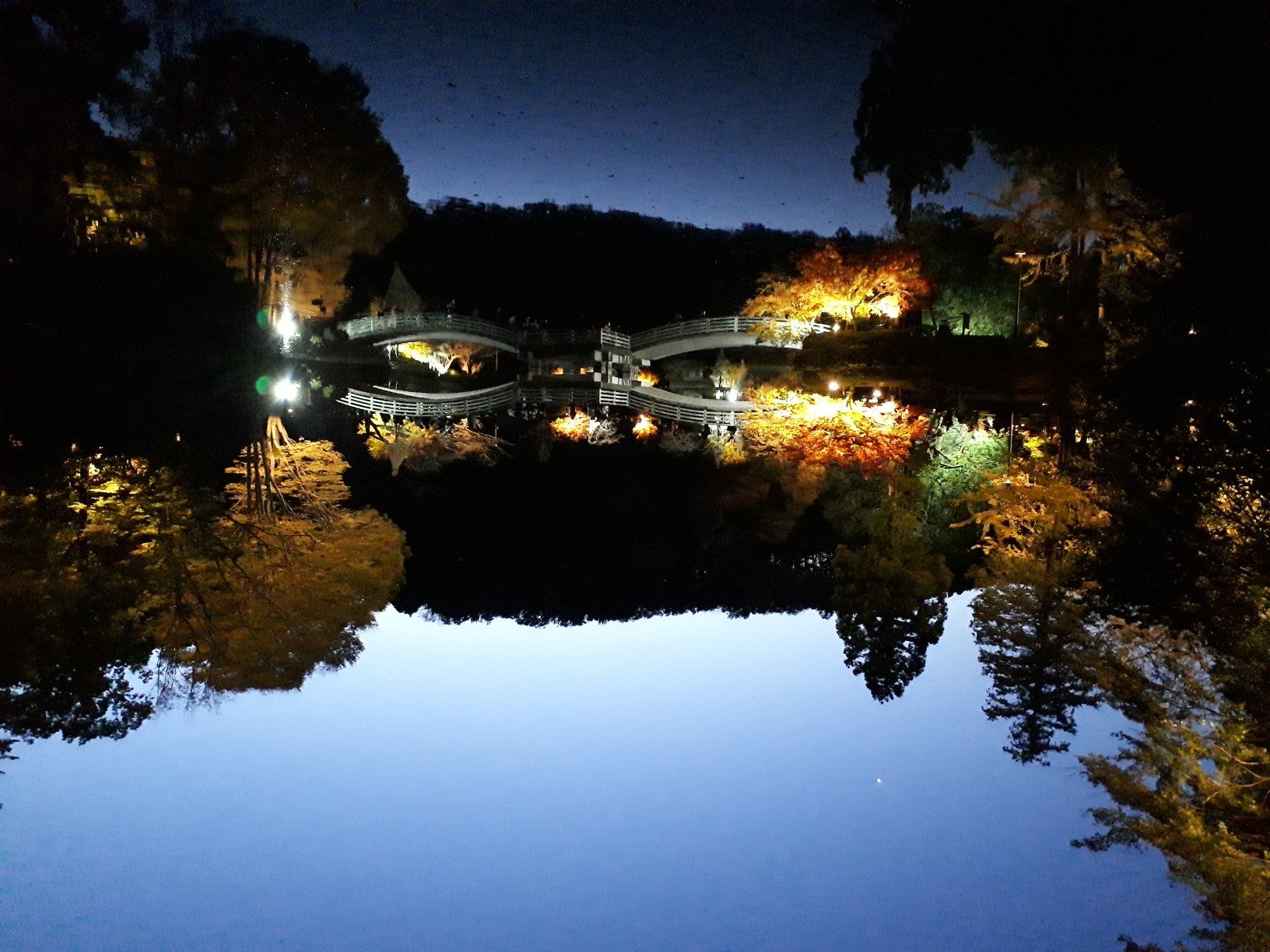 紅葉ライトアップ