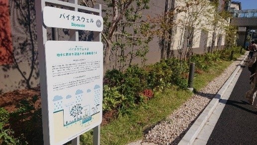 雨のみち（バイオスウェル）