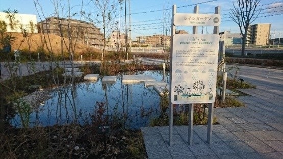 雨のにわ（レインガーデン）