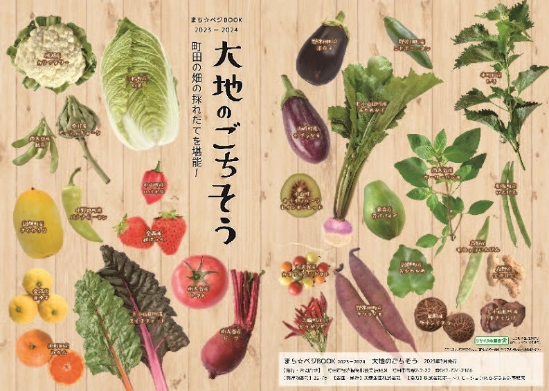 まち☆ベジBOOK「大地のごちそう」表紙