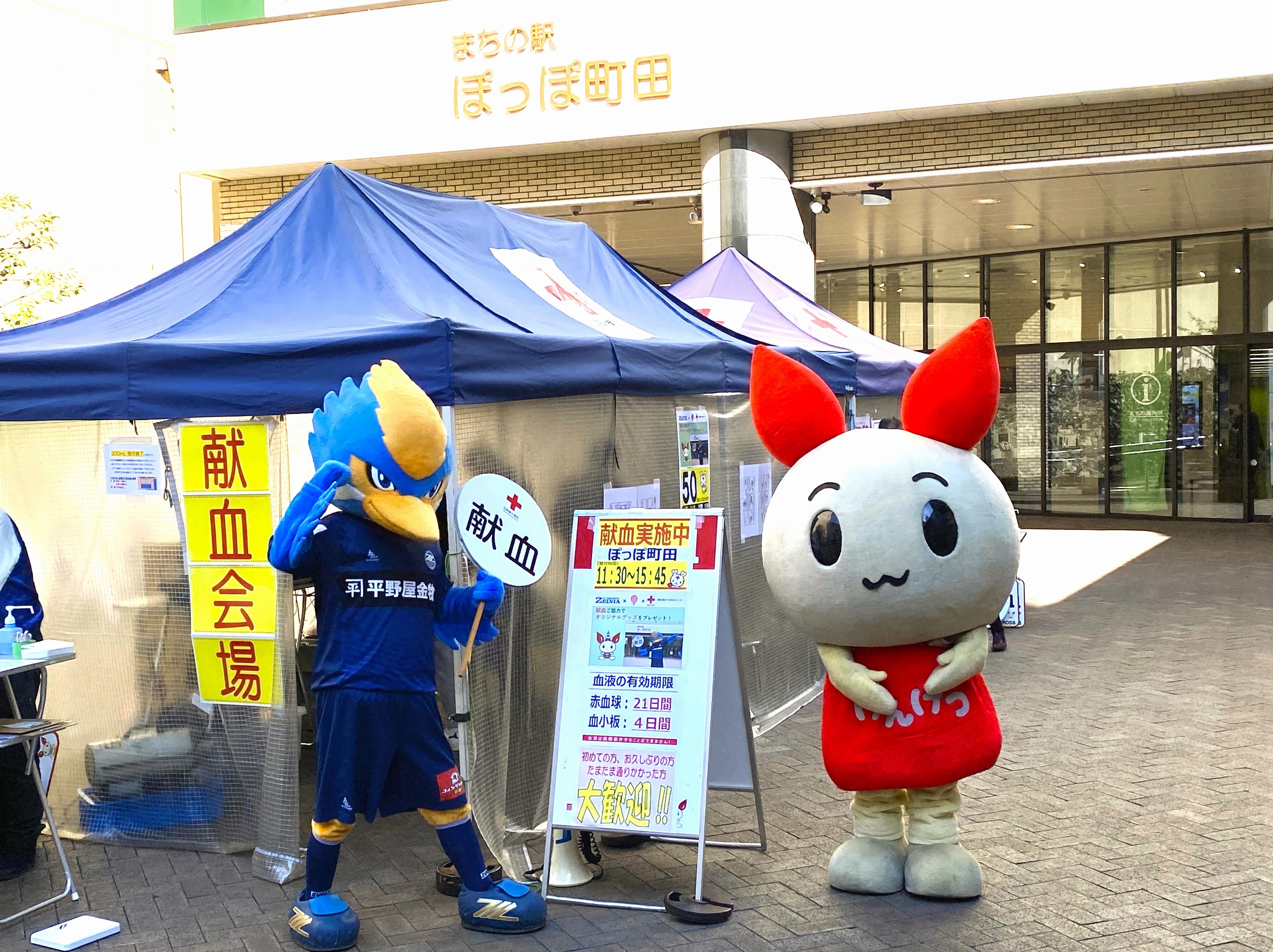 前回のキャンペーンの様子