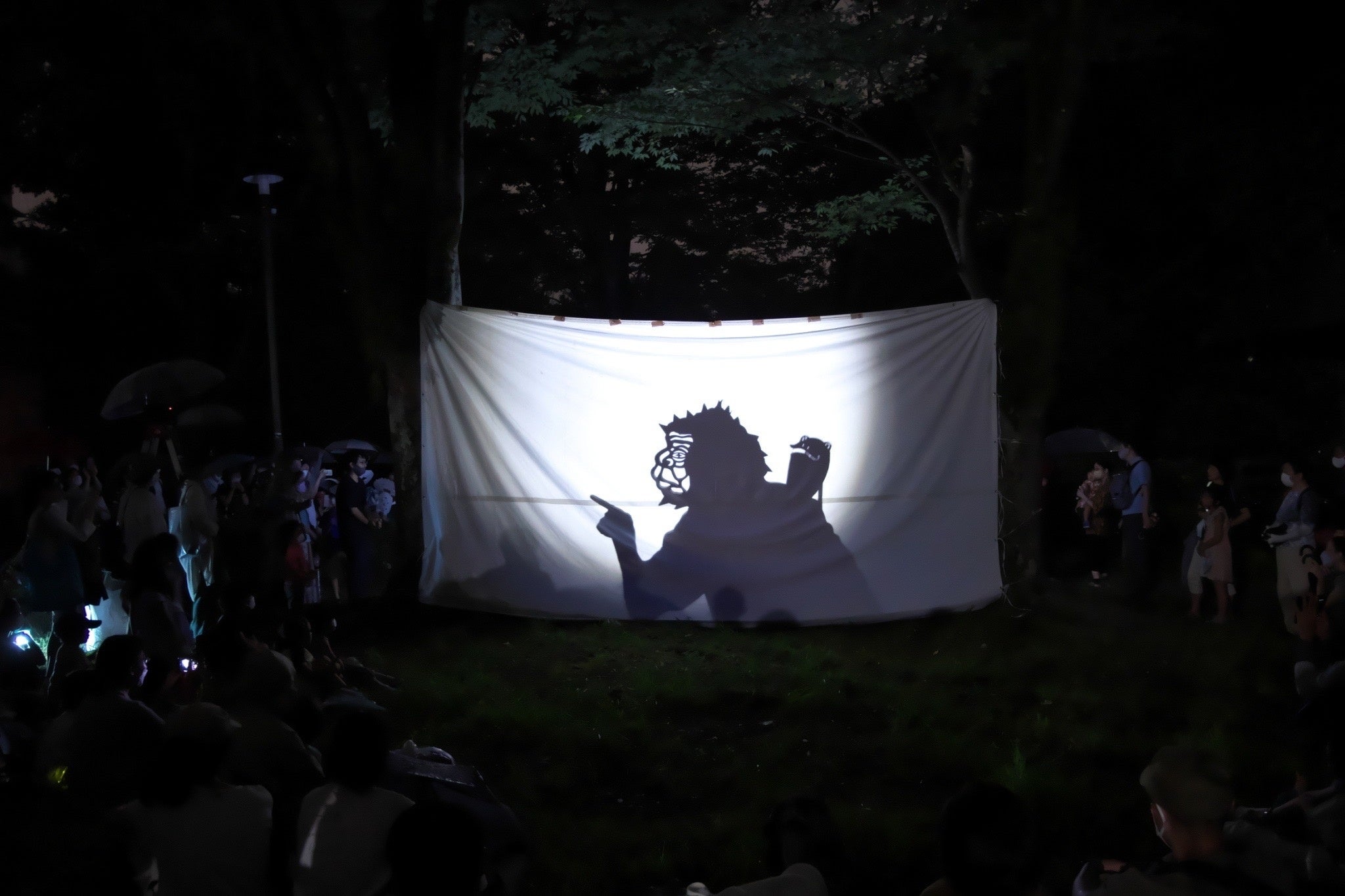 影絵パフォーマンスの様子