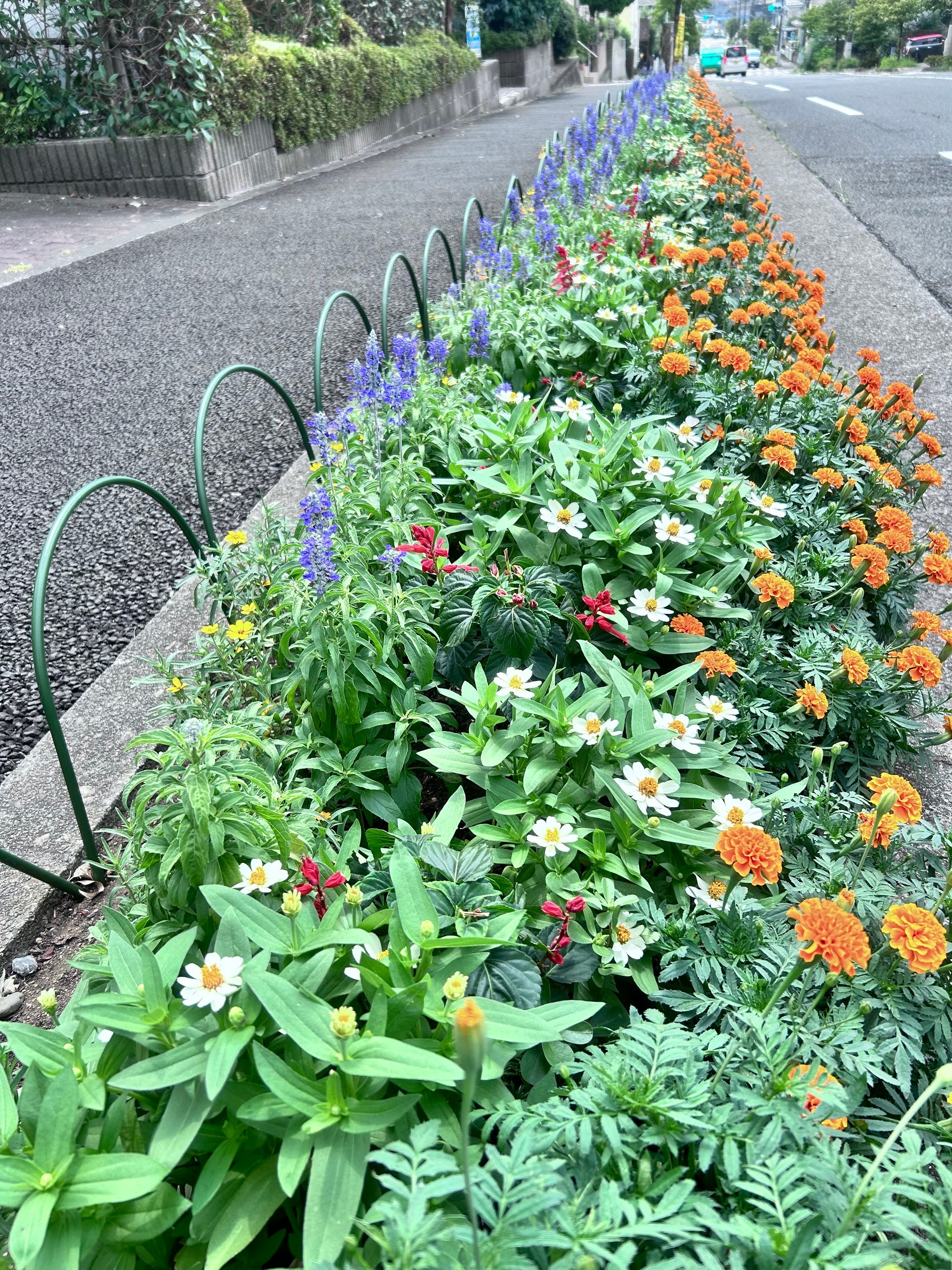 【優秀賞】成瀬台2丁目さわやか