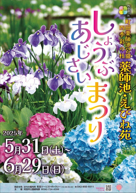 【東京都町田市】町田薬師池公園四季彩の杜「しょうぶ・あじさいまつり」を開催します 【東京都町田市】町田薬師池公園四季彩の杜「しょうぶ・あじさいまつり」を開催します