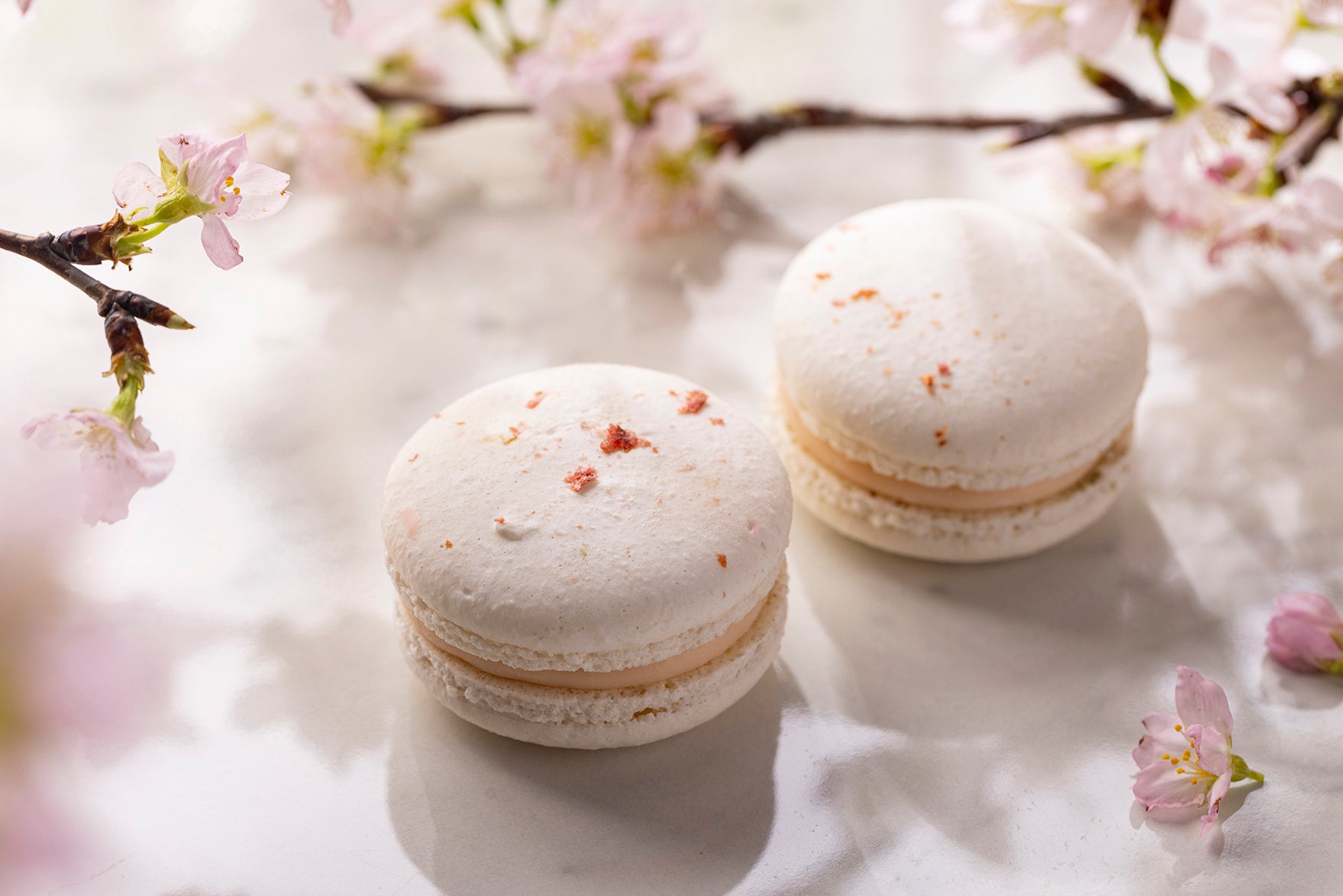 桜と苺のマカロン