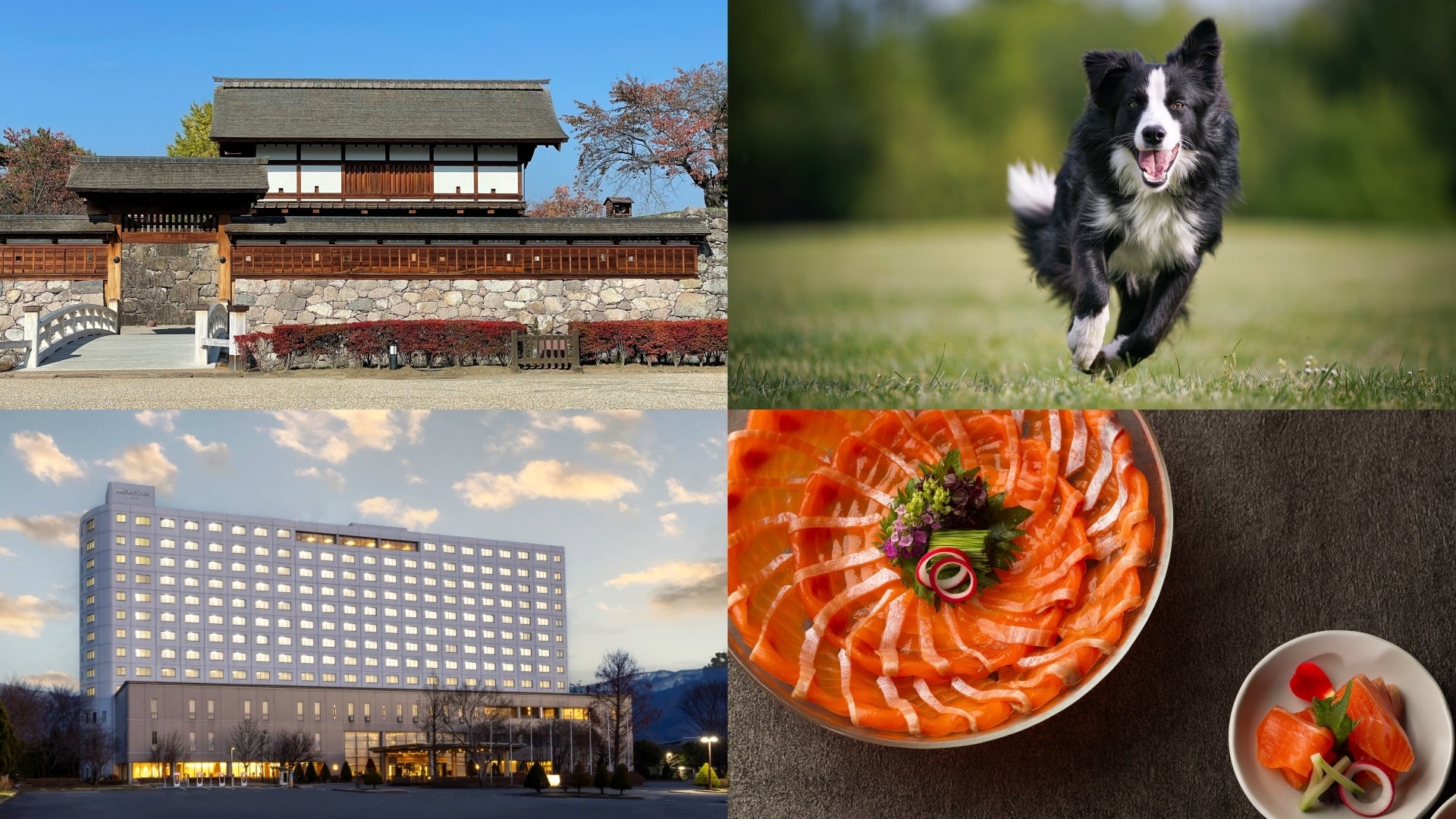 真田家ゆかりの地・紅葉の長野松代を楽しむ女子旅におすすめの、選べる多彩なステイプランを提案【メルキュール長野松代リゾート＆スパ】