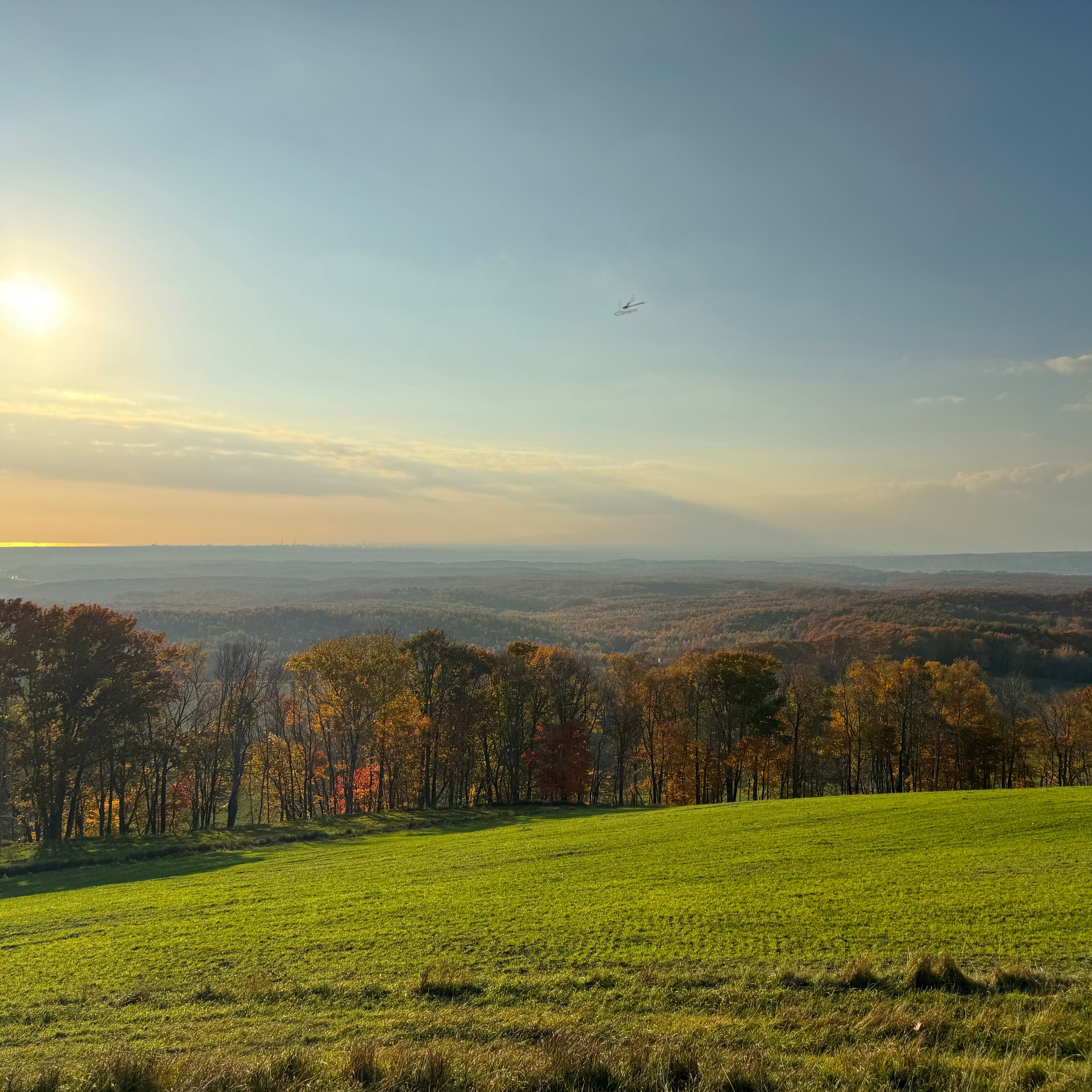 GOOD GOOD Secret Maison&Farm内の放牧牧草地