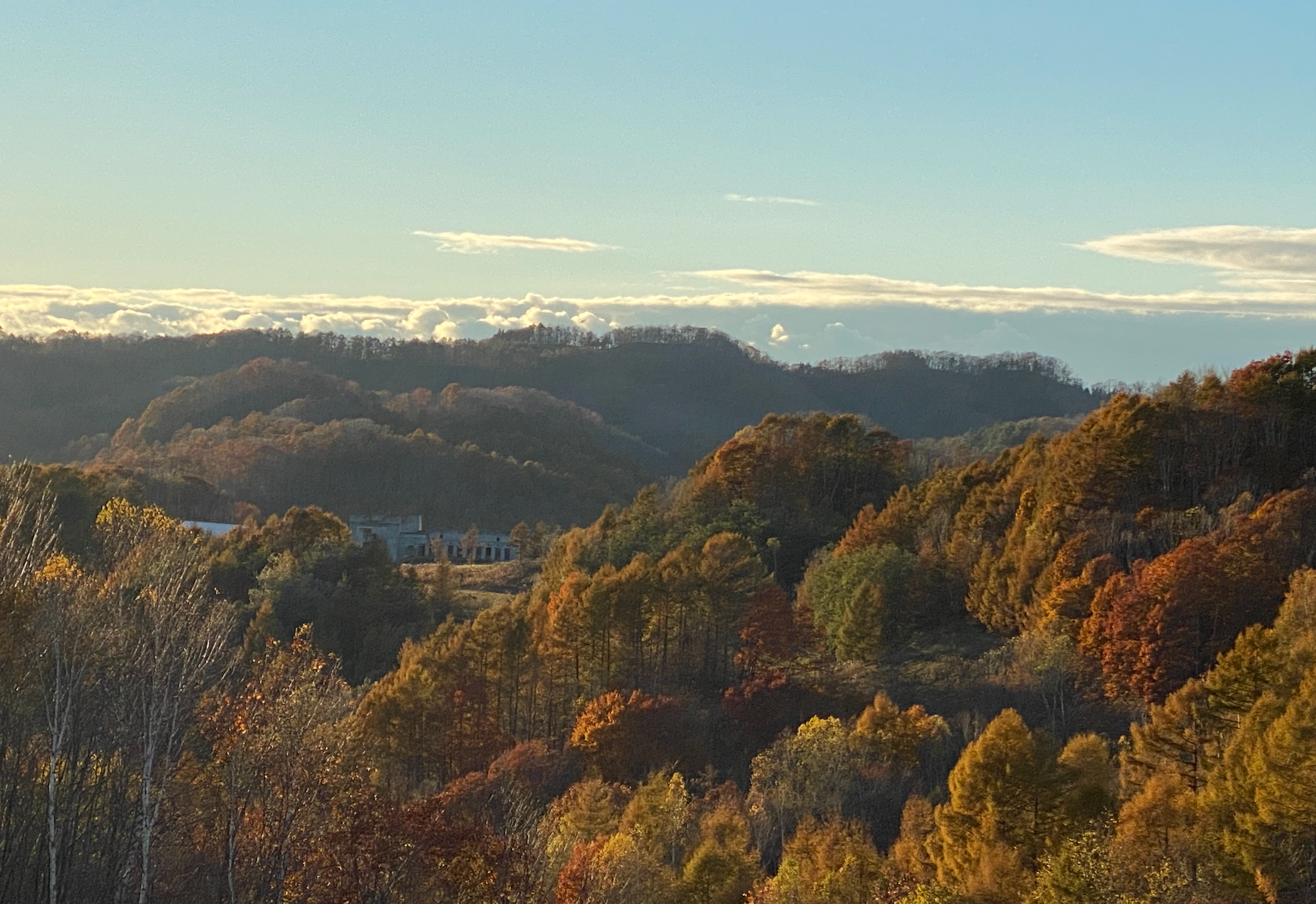 GOOD GOOD Secret Maison&Farm 敷地内の風景