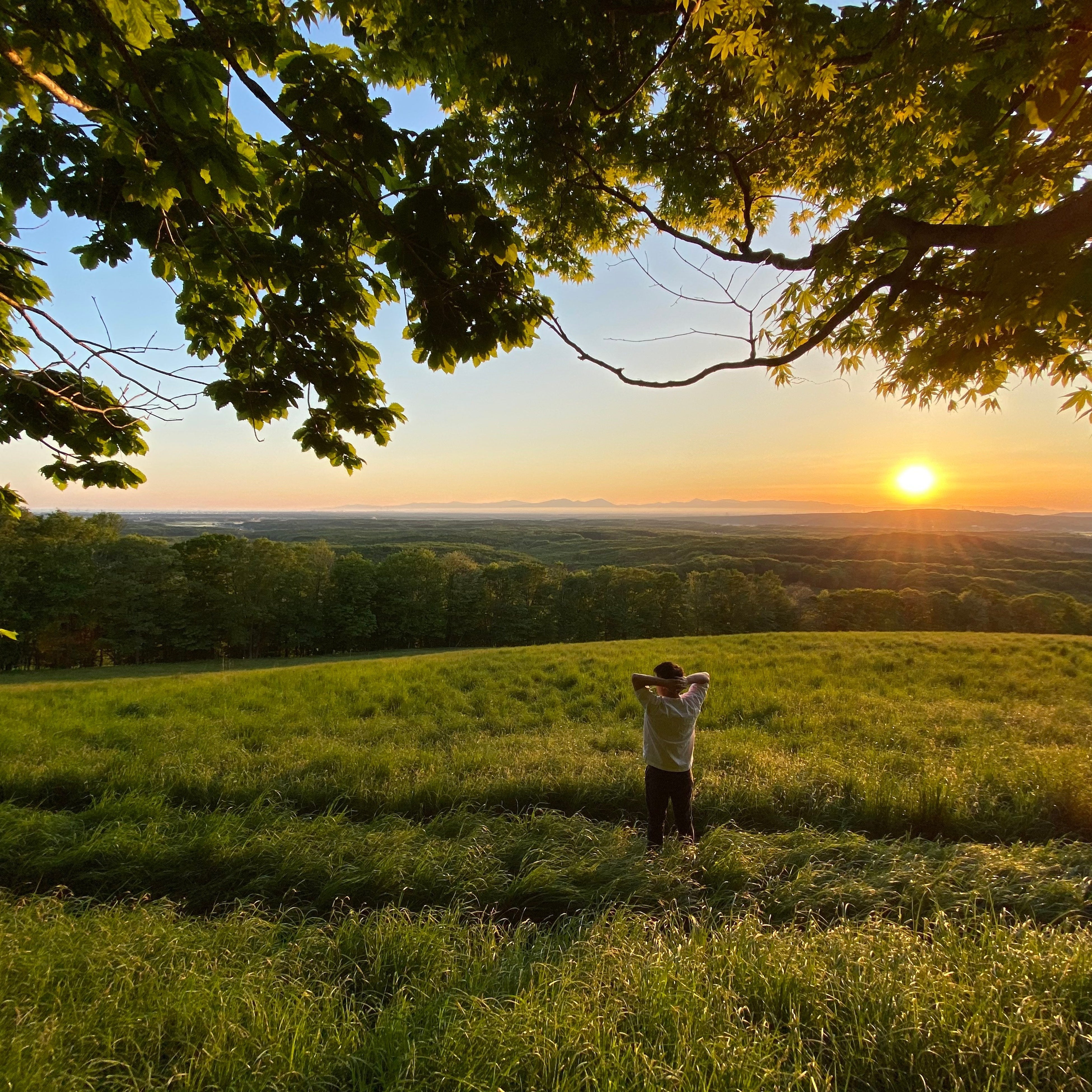 GOOD GOOD Secret Maison&Farm内の放牧牧草地