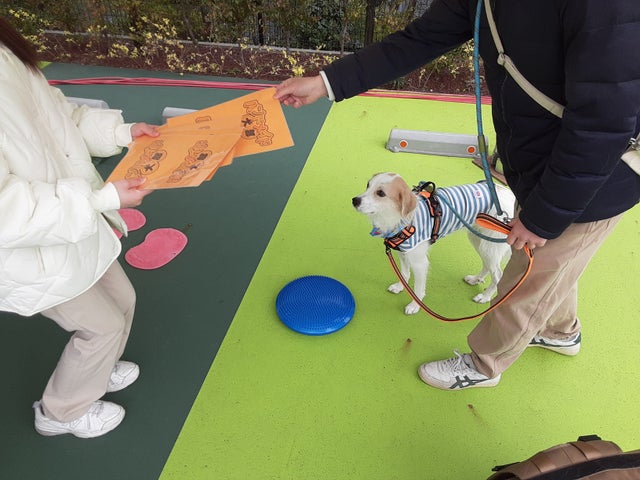 2024年成田ゆめのドッグフェスティバル!ワンちゃん無料参加可! 2024年成田ゆめのドッグフェスティバル!ワンちゃん無料参加可!