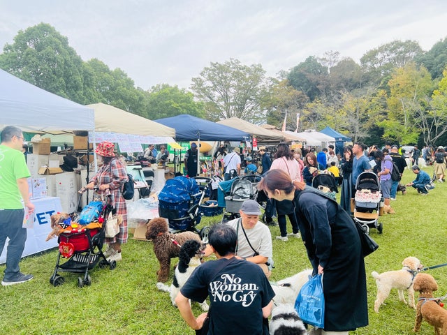 2024年6月15日・16日:みちのく杜のドッグフェスティバル、ワンちゃんと楽しむ特別イベント!無料入場、全国出店、体験コーナーも 2024年6月15日・16日:みちのく杜のドッグフェスティバル、ワンちゃんと楽しむ特別イベント!無料入場、全国出店、体験コーナーも