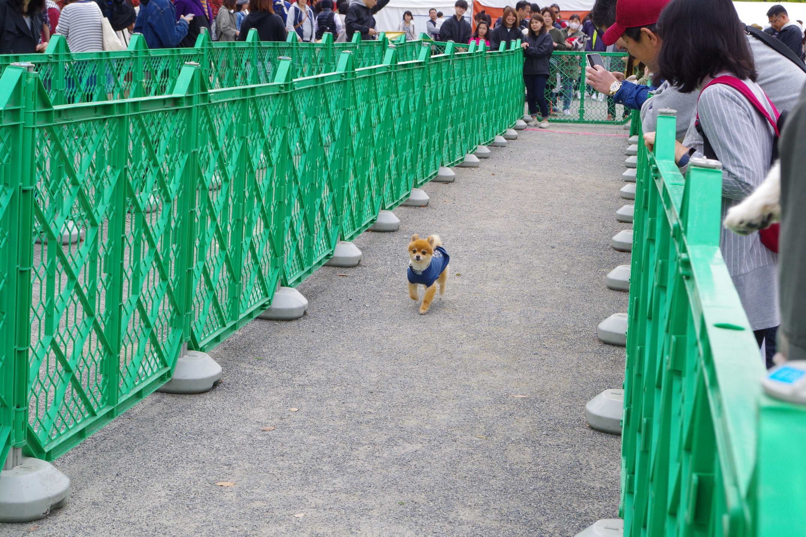 30ｍタイムアタック