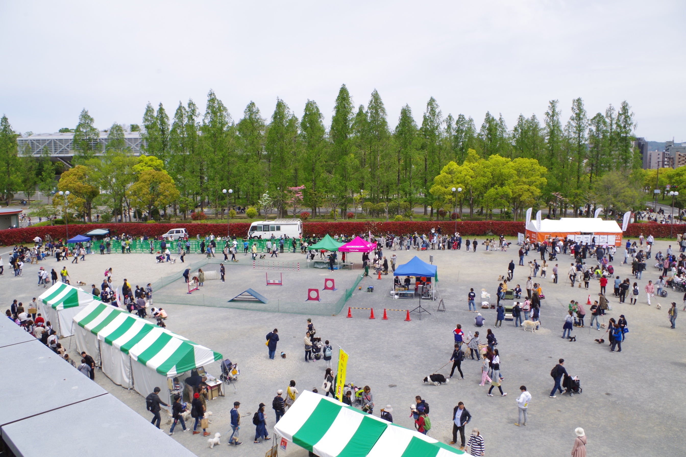 屋外会場全体