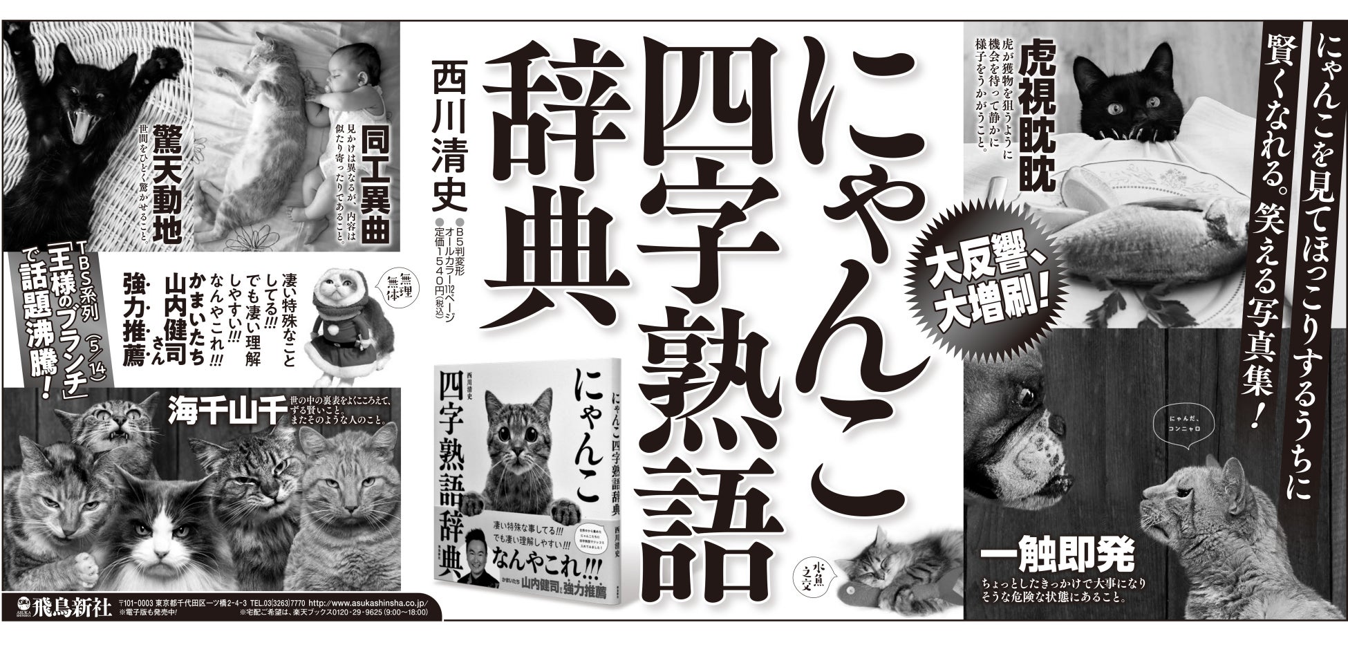 話題沸騰 にゃんこ四字熟語辞典 が12万部突破 株式会社飛鳥新社のプレスリリース 話題沸騰 にゃんこ四字熟語辞典 が12万部突破 株式会社飛鳥新社のプレスリリース
