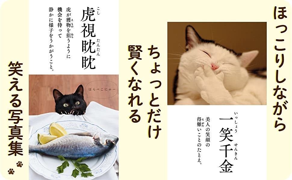話題沸騰 にゃんこ四字熟語辞典 が12万部突破 株式会社飛鳥新社のプレスリリース 話題沸騰 にゃんこ四字熟語辞典 が12万部突破 株式会社飛鳥新社のプレスリリース