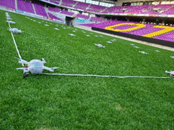 ドローンの設置イメージ