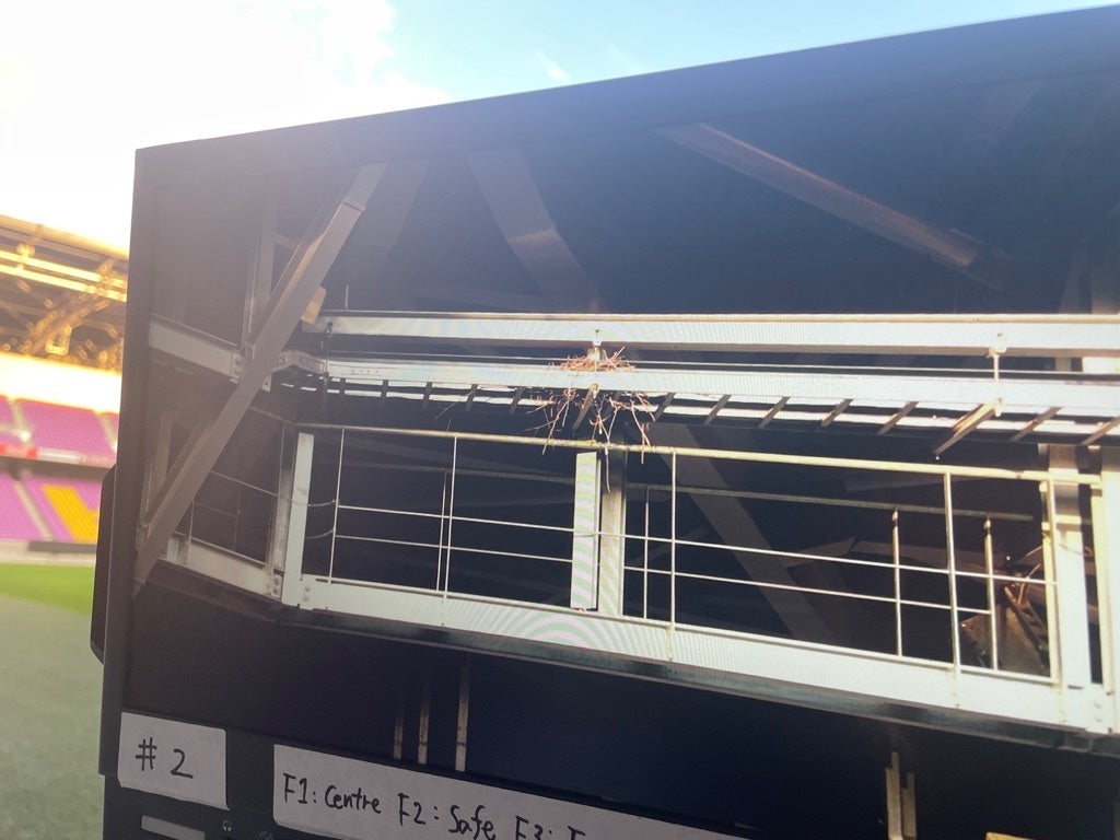 鳩の巣をドローンで見つける