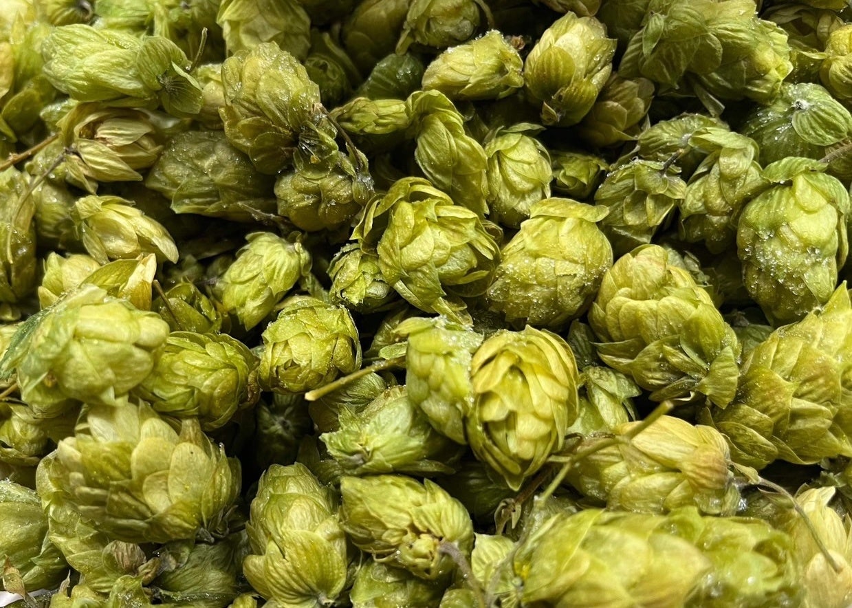 Photograph ©2023 @distillery_shakotan_blue