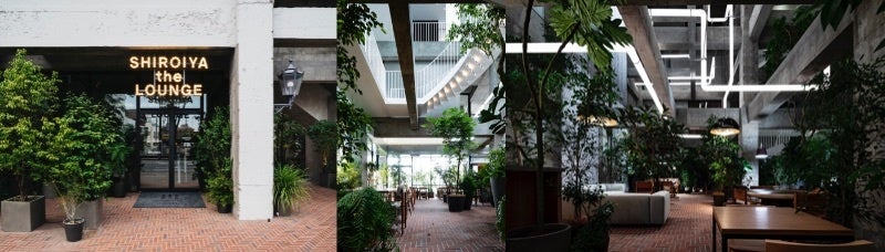 ©Katsumasa Tanaka ©Shinya Kigure ©Shinya Kigure