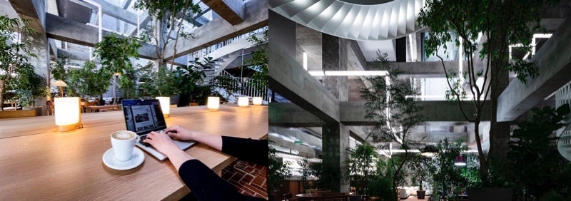 ©Shiroiya Hotel ©Shinya Kigure