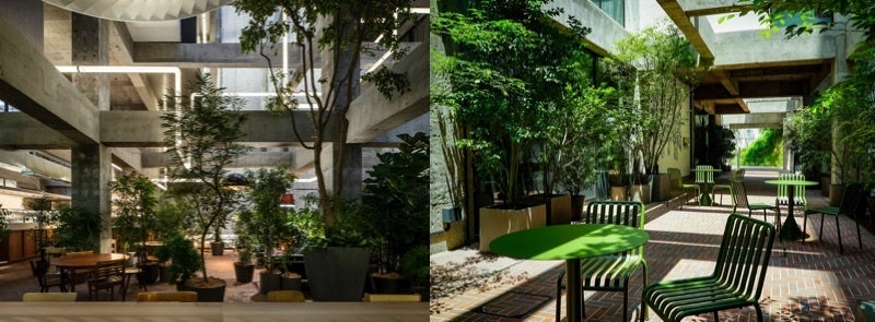 ©Katsumasa Tanaka ©Shiroiya Hotel.