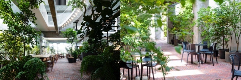 ©Shinya Kigure　©Fumie Amino