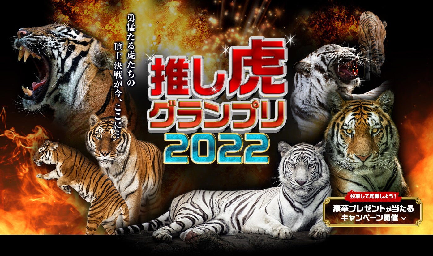推し虎グランプリ22 開催 ー来年の干支 寅年記念イベントー 株式会社レッツエンジョイ東京のプレスリリース 推し虎グランプリ22 開催 ー来年の干支 寅年記念イベントー 株式会社レッツエンジョイ東京のプレスリリース