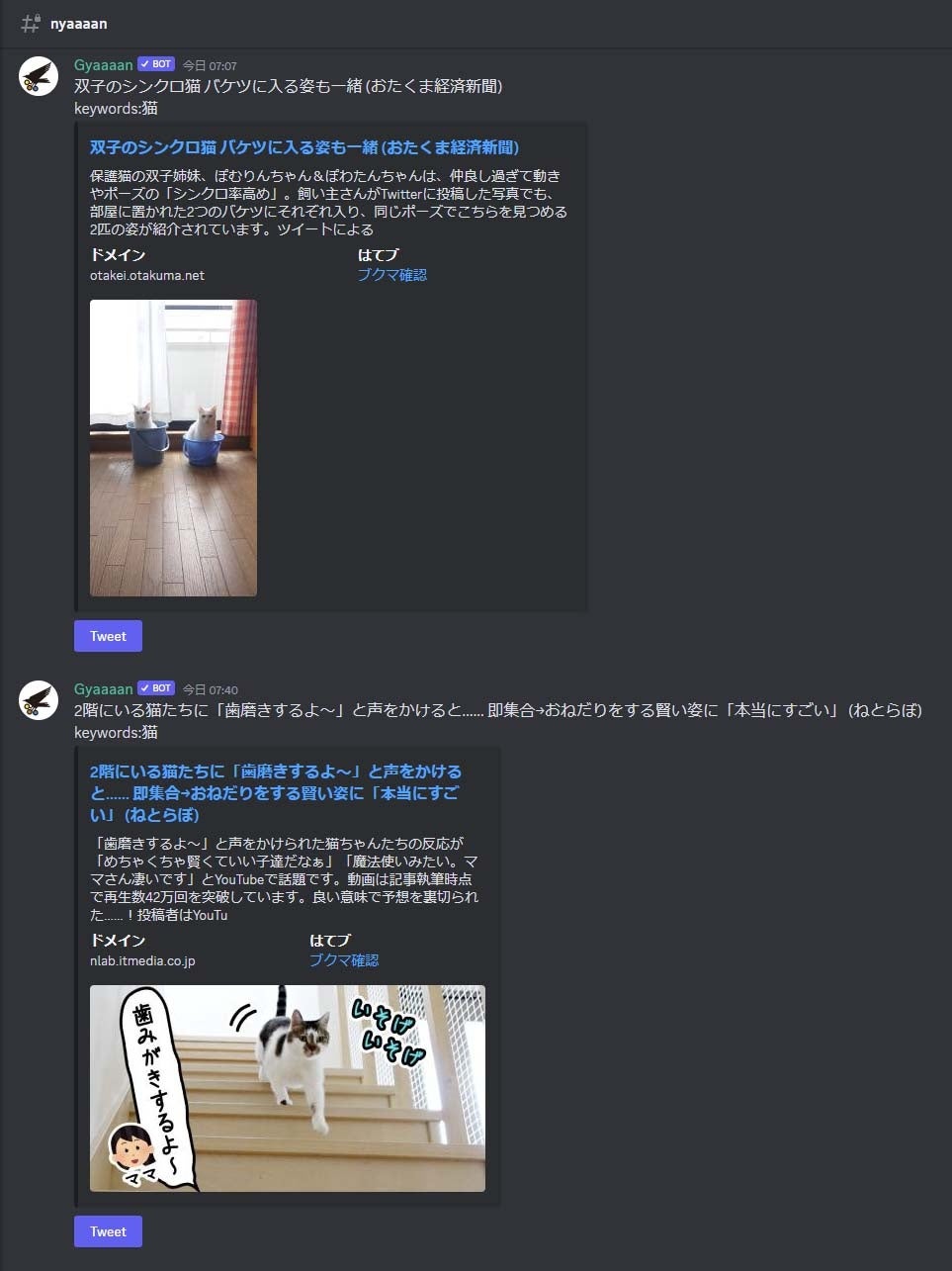 GyaaaanのDiscordで猫情報チャンネル「Nyaaaan」も稼働中