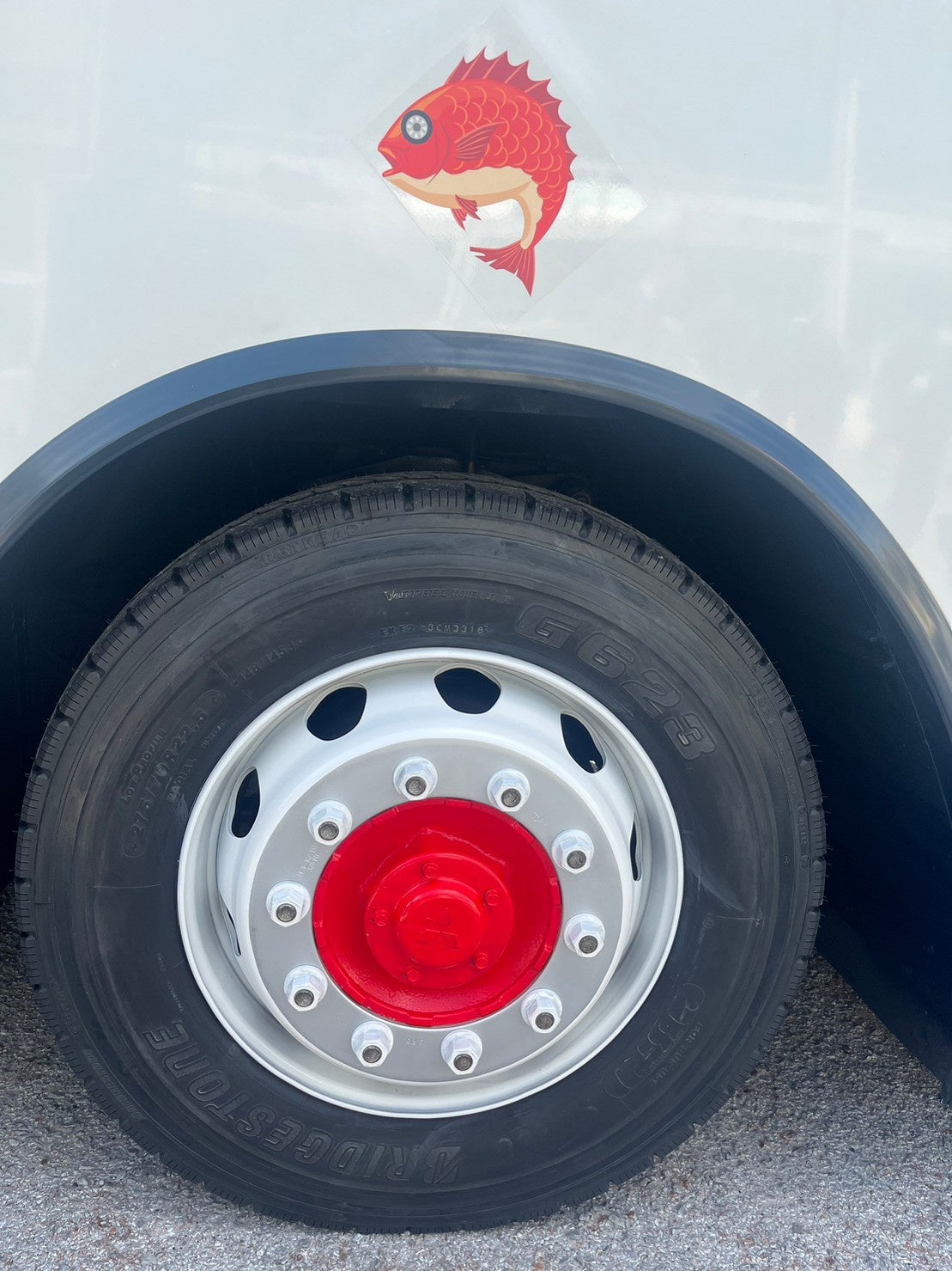 紅白のタイヤに目がタイヤの鯛