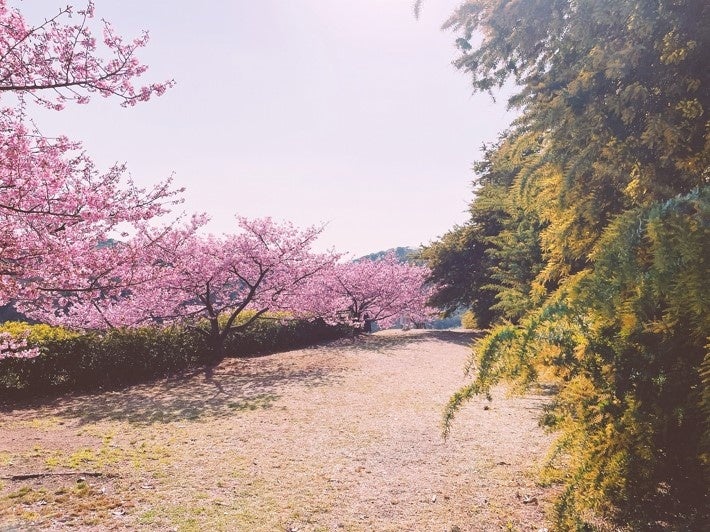 ©(一社)小豆島観光協会