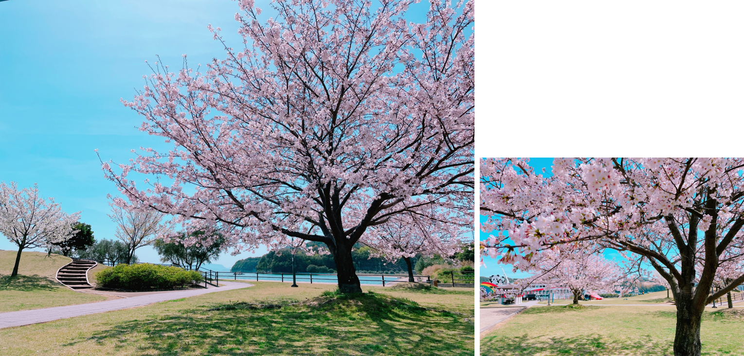 ©(一社)小豆島観光協会