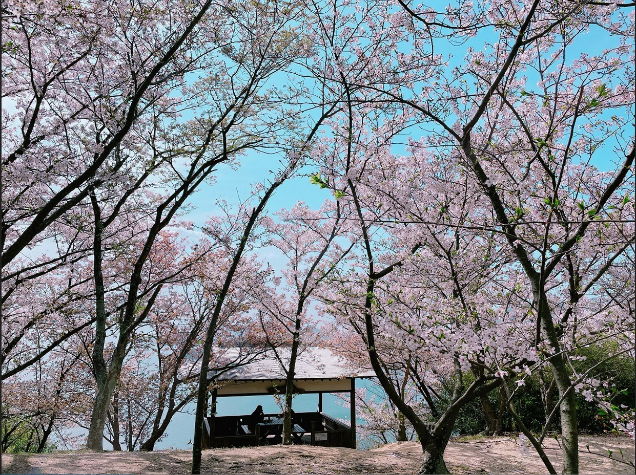 ©(一社)小豆島観光協会　